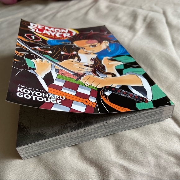 demon slayer ‘kimetsu no yaiba’ manga vol. 1 - Picture 6 of 9